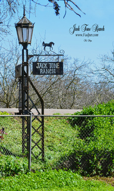 Welcome to Jack Tone Ranch.